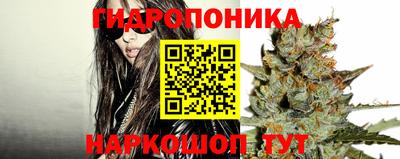 ГАЛЛЮЦИНОГЕННЫЕ ГРИБЫ Ирбит