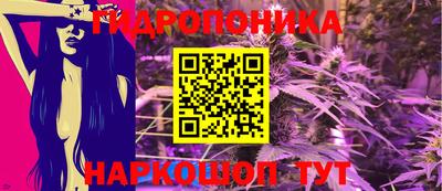 стаф Кандалакша