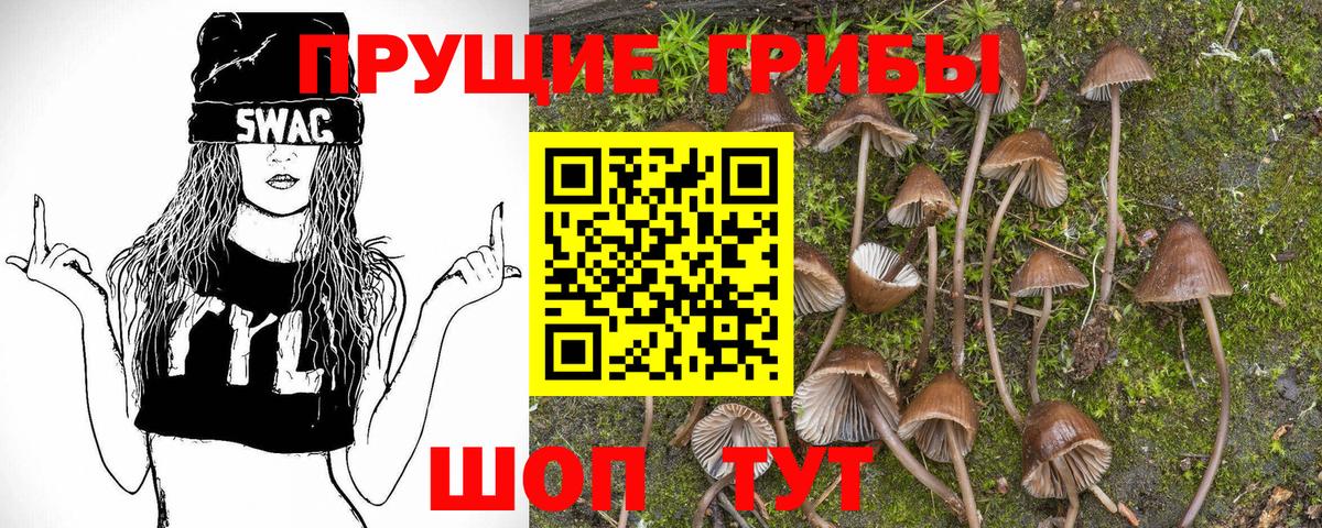 Псилоцибиновые грибы мицелий  Вход с VPN  Геленджик 