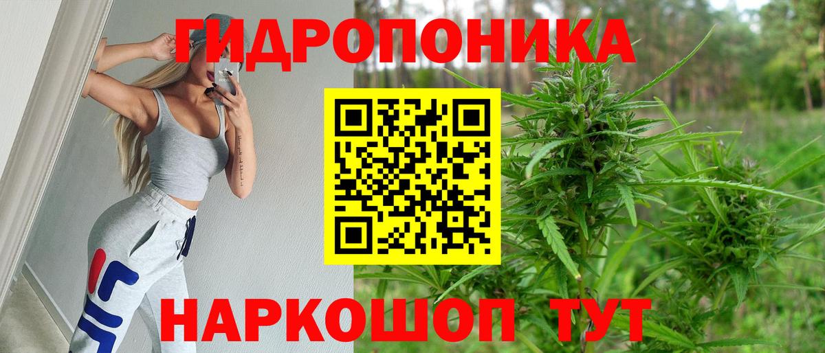 Бошки марихуана VHQ  МАРИХУАНА Ganja  Марихуана Amnesia  Геленджик  Вход с VPN 
