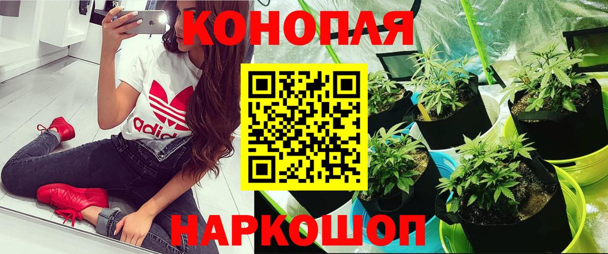Каннабис гибрид Геленджик